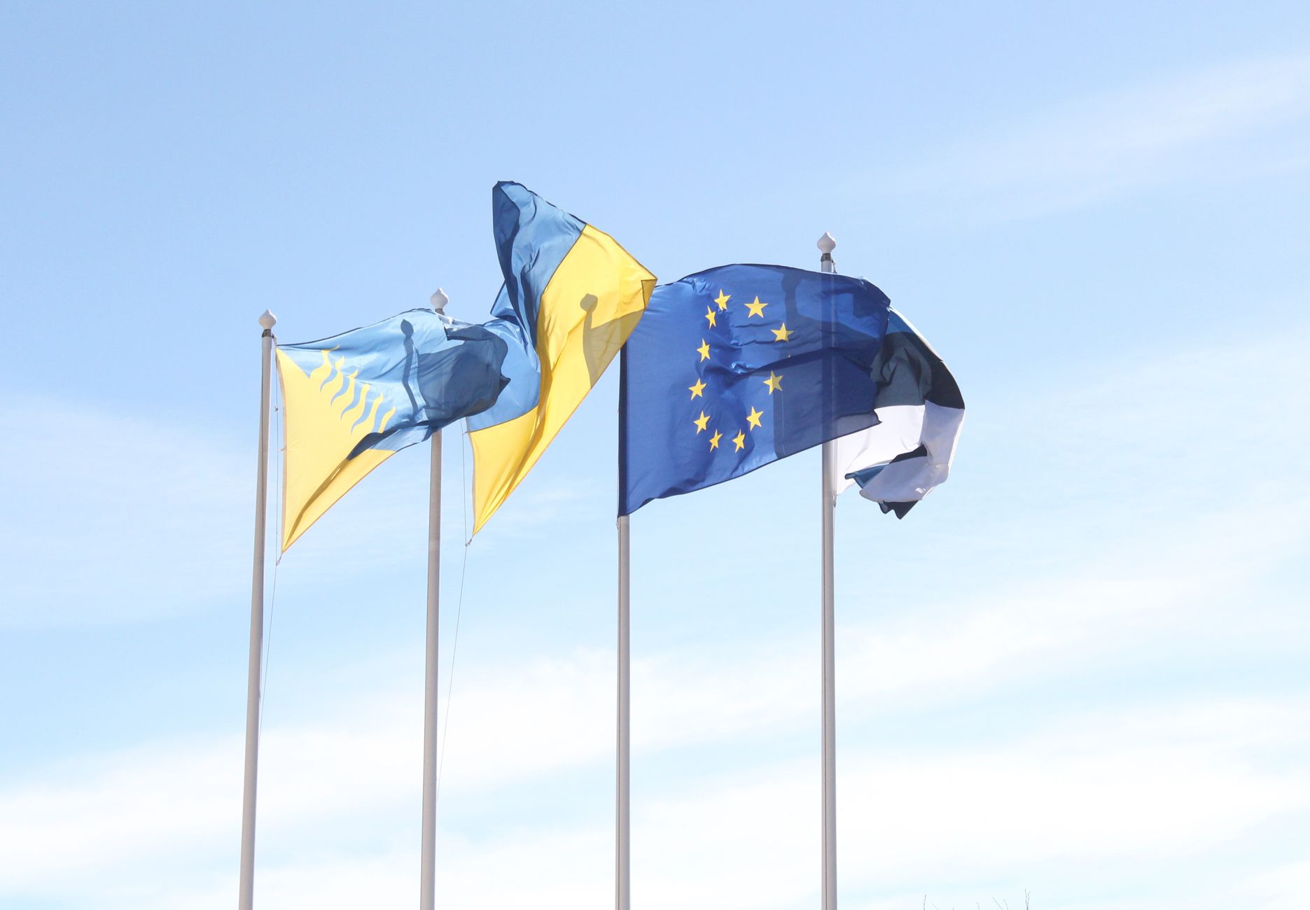 european union flag