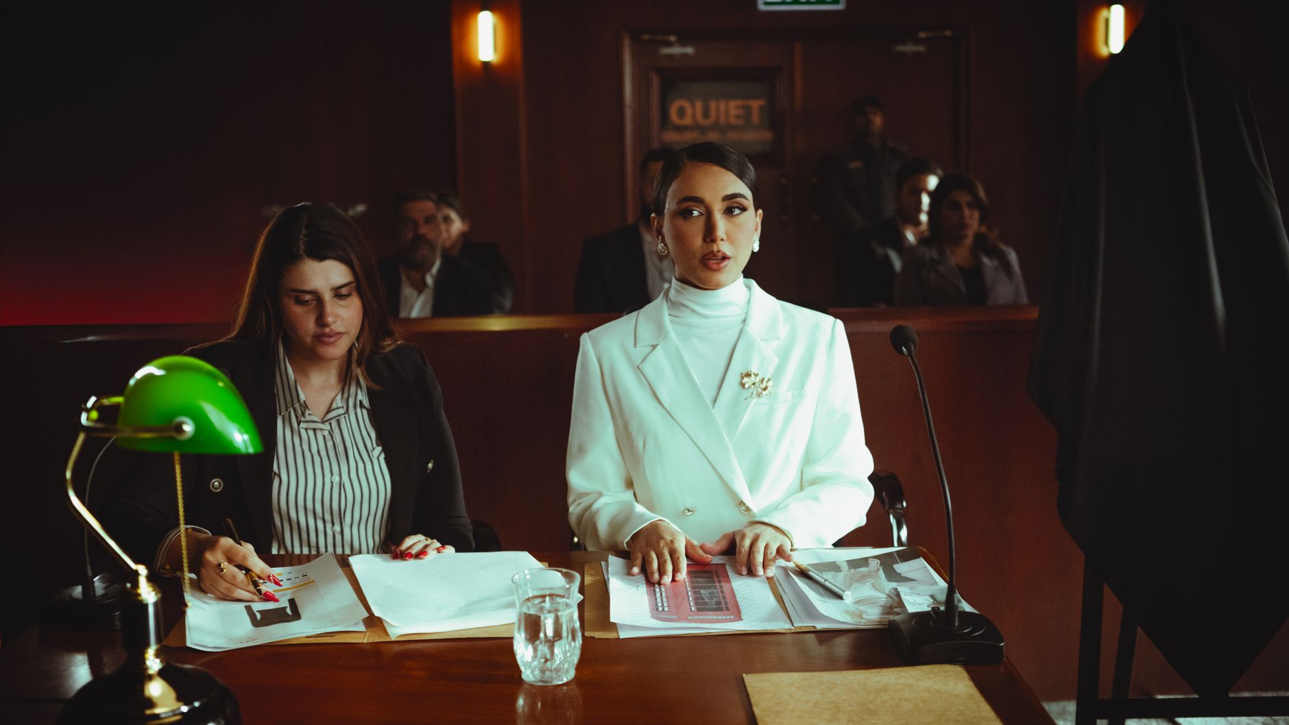 extradition defense lawyer