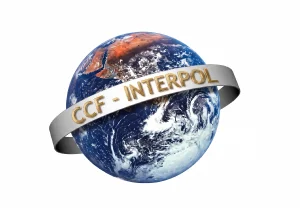 CCF INTERPOL
